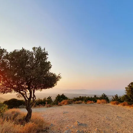 Orea Ellas Kos - Apartments&bistro-café Lagoudi Zia