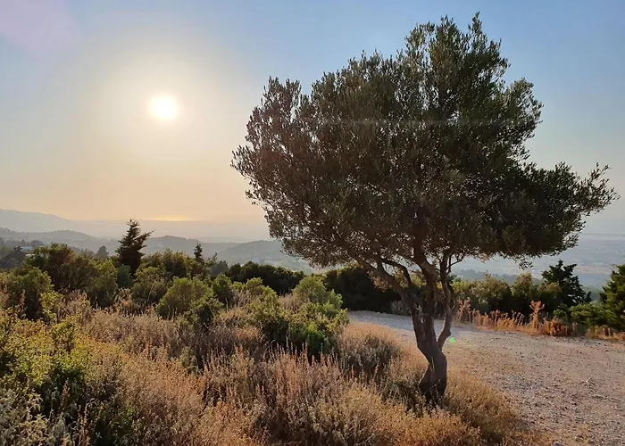 Διαμέρισμα Orea Ellas Kos - & Bistro-cafe