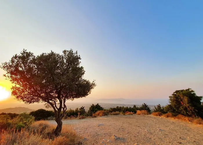 Orea Ellas Kos - & Bistro-cafe Lagoudi Zia