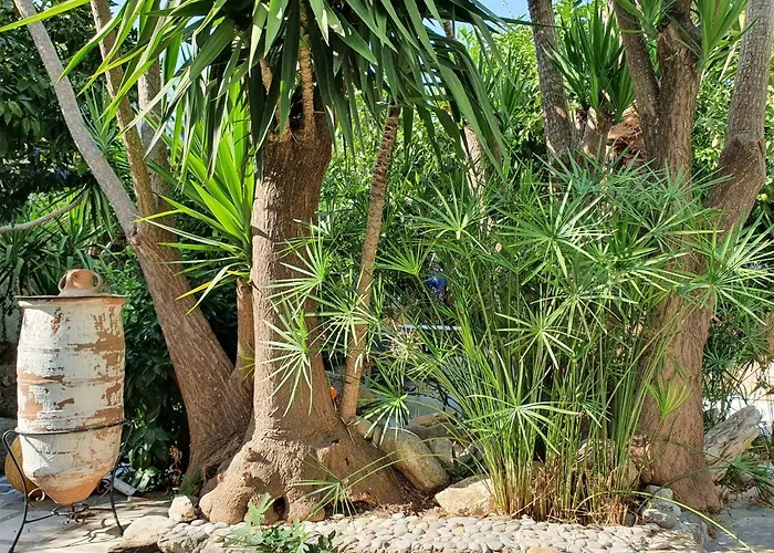 Orea Ellas Kos - & Bistro-cafe Apartament *