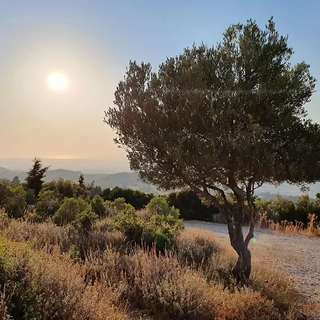 Апартаменты Orea Ellas Kos - & Bistro-cafe