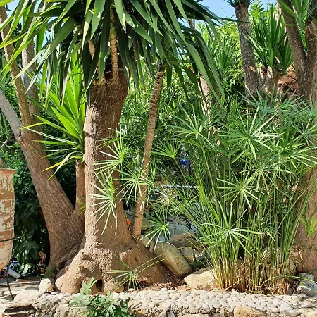 Orea Ellas Kos - & Bistro-cafe Apartman *