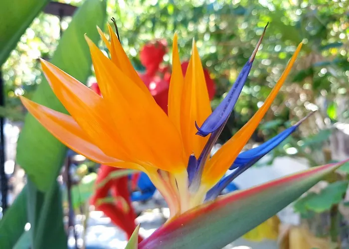 شقة Orea Ellas Kos - & Bistro-cafe Lagoudi Zia